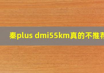 秦plus dmi55km真的不推荐吗